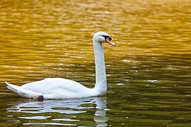 育碧疑似泄露了《彩虹六号：异种》的发售日